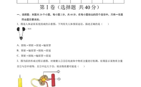 第五单元人体内废物的排出（选拔卷）-单元测试（人教版）（原卷版）_初中全科电子版试卷练习试题_生物_生物人教版7下练习_人教生物7年级下单元试卷33份