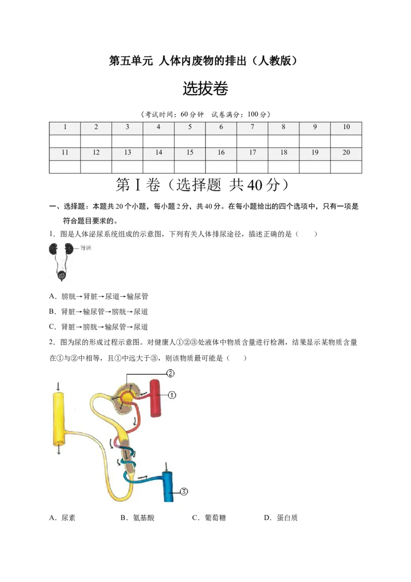 第五单元人体内废物的排出（选拔卷）-单元测试（人教版）（原卷版）_初中全科电子版试卷练习试题_生物_生物人教版7下练习_人教生物7年级下单元试卷33份