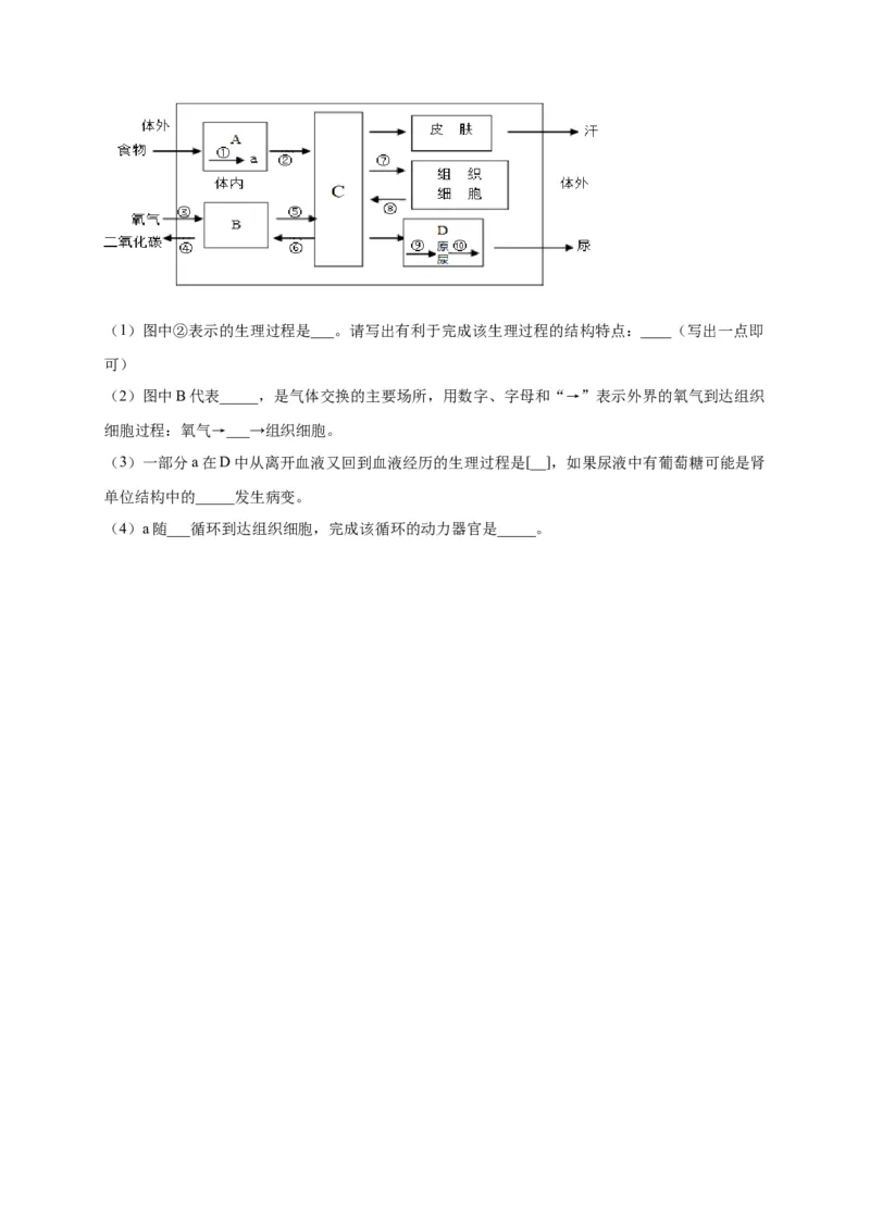 第五单元人体内废物的排出（选拔卷）-单元测试（人教版）（原卷版）_初中全科电子版试卷练习试题_生物_生物人教版7下练习_人教生物7年级下单元试卷33份