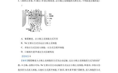 原创（新高考）2021届小题必练3细胞的物质输入和输出教师版_新高考复习资料_2021年新高考资料_2021届（新高考）高考生物小题必练