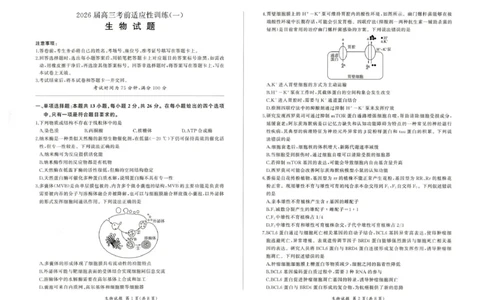 2026届高三考前适应性训练（一）生物试题2026届高三考前适应性训练（一）生物试题_2024-2026高三（6-6月题库）_2026年04月高三试卷_2604172026届百师联盟高三考前适应性训练(一)（全科）