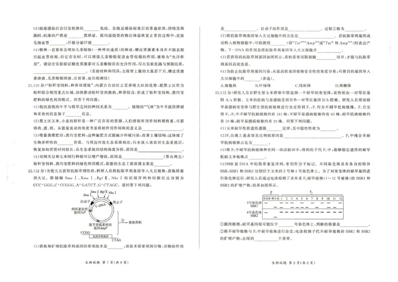 2026届高三考前适应性训练（一）生物试题2026届高三考前适应性训练（一）生物试题_2024-2026高三（6-6月题库）_2026年04月高三试卷_2604172026届百师联盟高三考前适应性训练(一)（全科）