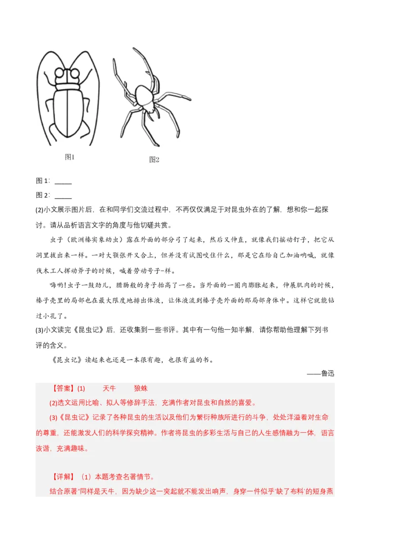 语文01卷（江西专用）-（全解全析）_初中全科电子版试卷练习试题_语文_8下初中人教部编版语文练习、试卷_部编语文八年级下期末试卷（045份）_地区版-29份