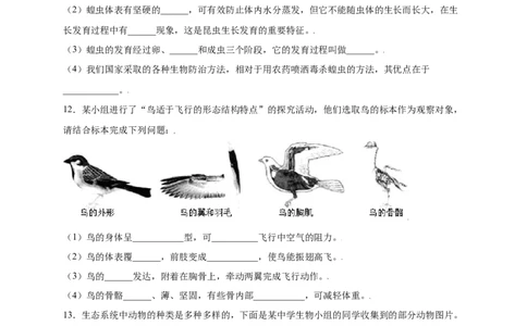 第五单元（第一章）动物的主要类群（提分小卷）-（人教版）（原卷版）_初中全科电子版试卷练习试题_生物_生物8上练习_人教生物8年级上单元试卷48份
