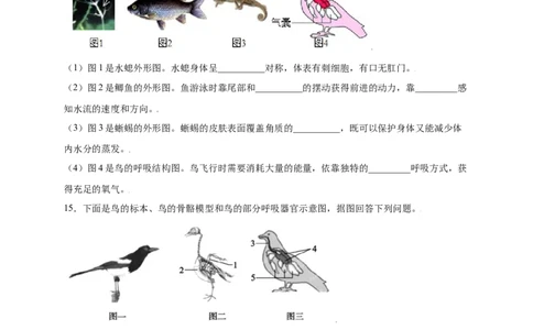 第五单元（第一章）动物的主要类群（提分小卷）-（人教版）（原卷版）_初中全科电子版试卷练习试题_生物_生物8上练习_人教生物8年级上单元试卷48份