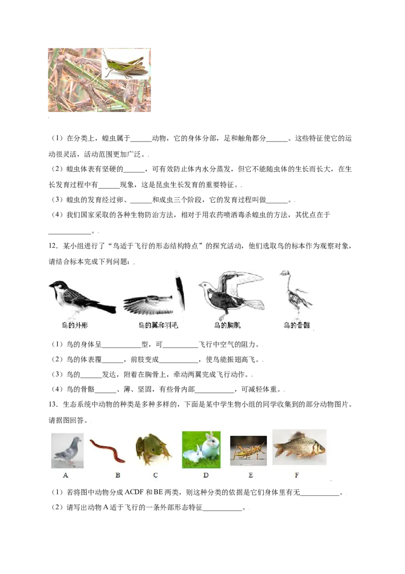 第五单元（第一章）动物的主要类群（提分小卷）-（人教版）（原卷版）_初中全科电子版试卷练习试题_生物_生物8上练习_人教生物8年级上单元试卷48份