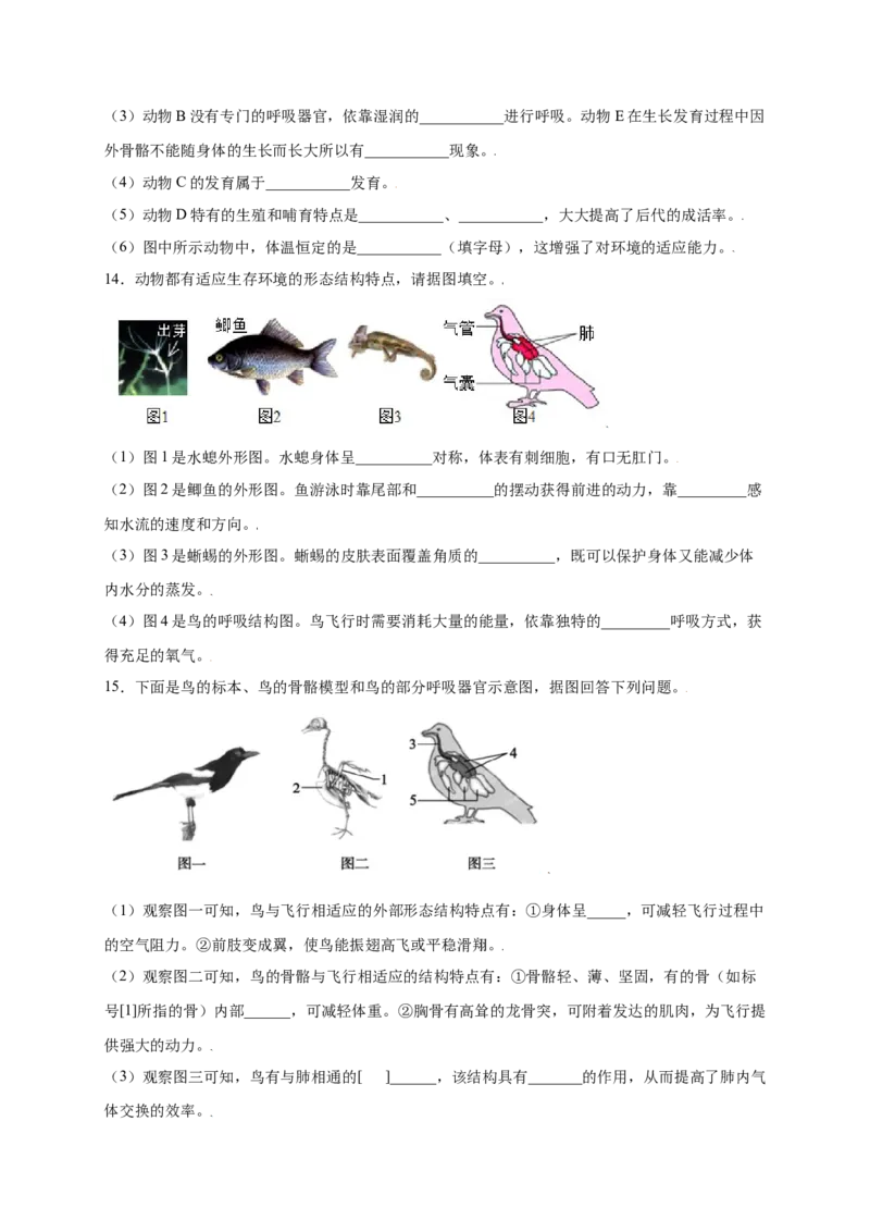 第五单元（第一章）动物的主要类群（提分小卷）-（人教版）（原卷版）_初中全科电子版试卷练习试题_生物_生物8上练习_人教生物8年级上单元试卷48份