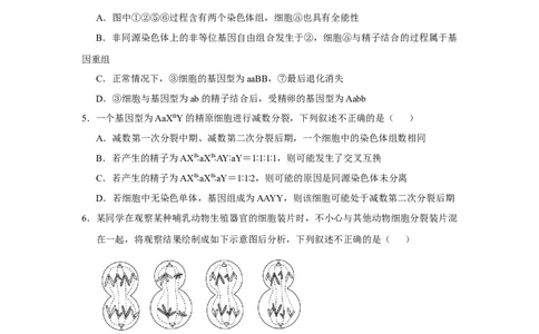 原创2021届小题必练8遗传的细胞学基础学生版_通用版（老高考）复习资料_2023年复习资料_专项复习_2023《微专题&middot;小练习》&middot;生物_模拟题_2021届小题优练-生物