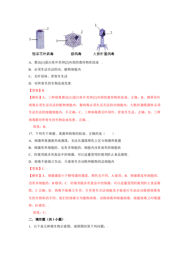 第五章病毒过关测试-（人教版）（解析版）_初中全科电子版试卷练习试题_生物_生物8上练习_人教生物8年级上单元试卷48份