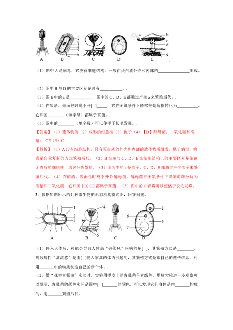 第五章病毒过关测试-（人教版）（解析版）_初中全科电子版试卷练习试题_生物_生物8上练习_人教生物8年级上单元试卷48份