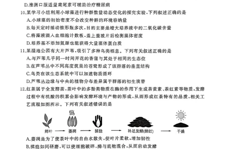 2026届百师联盟高三下学期开年考生物试题_2024-2026高三（6-6月题库）_2026年03月高三试卷_2603062026届百师联盟高三下学期开年考