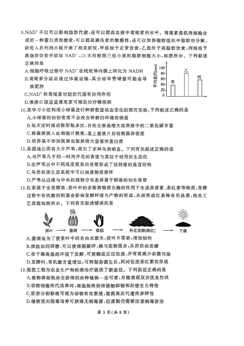 2026届百师联盟高三下学期开年考生物试题_2024-2026高三（6-6月题库）_2026年03月高三试卷_2603062026届百师联盟高三下学期开年考