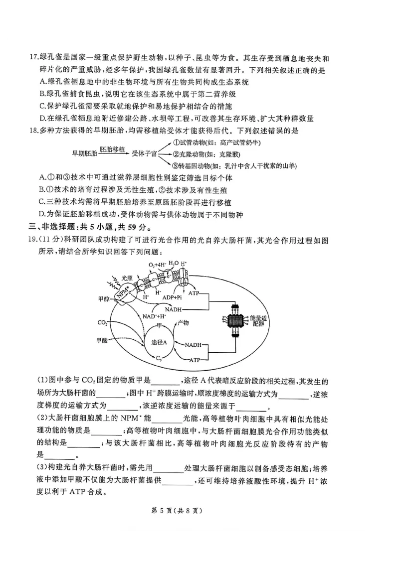 2026届百师联盟高三下学期开年考生物试题_2024-2026高三（6-6月题库）_2026年03月高三试卷_2603062026届百师联盟高三下学期开年考