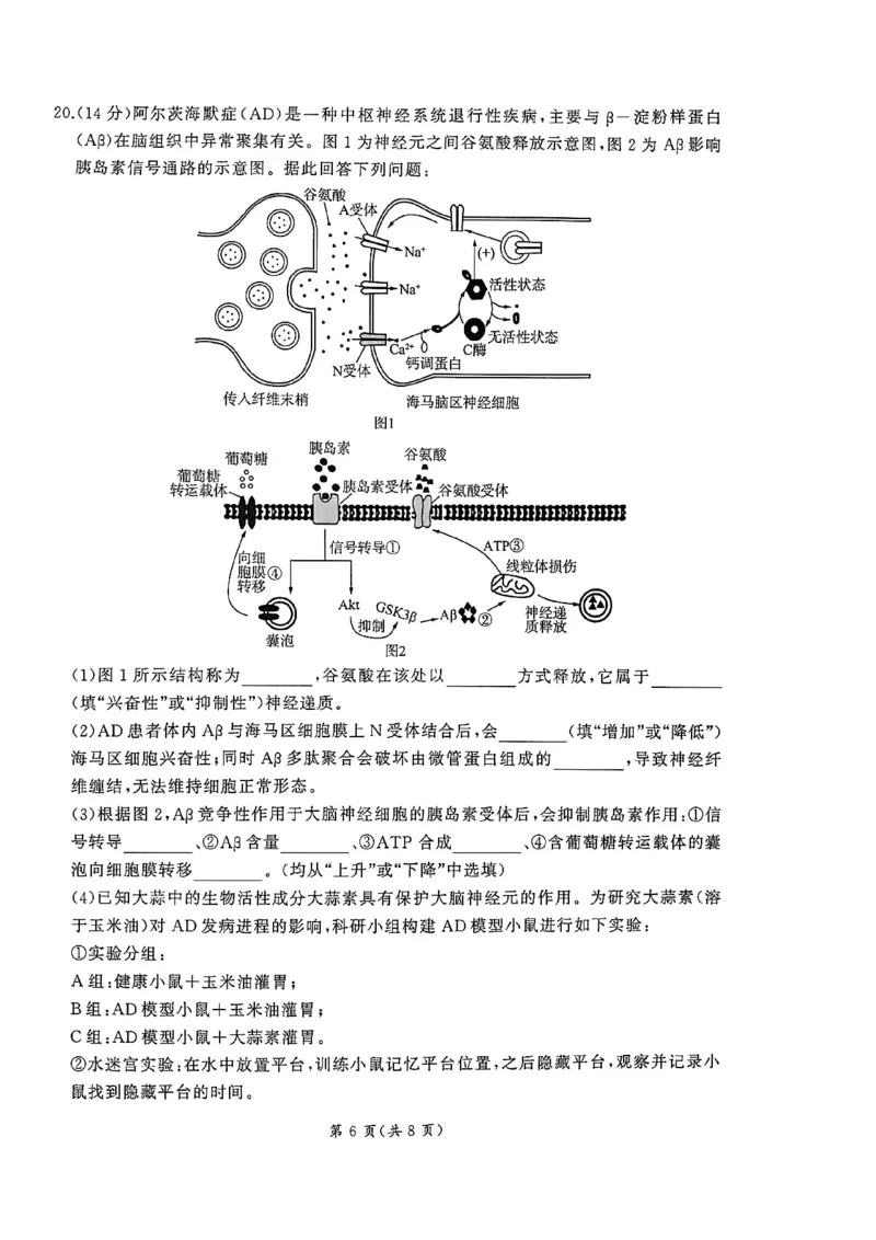 2026届百师联盟高三下学期开年考生物试题_2024-2026高三（6-6月题库）_2026年03月高三试卷_2603062026届百师联盟高三下学期开年考