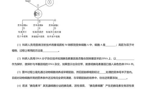 原创（新高考）2021届高三大题优练12细胞工程、基因工程教师版_新高考复习资料_2021年新高考资料_2021届（新高考）大题优练-生物