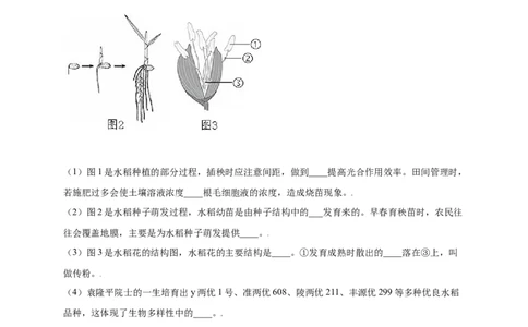 第六单元（第二章）认识生物的多样性（提分小卷）-（人教版）（原卷版）_初中全科电子版试卷练习试题_生物_生物8上练习_人教生物8年级上单元试卷48份