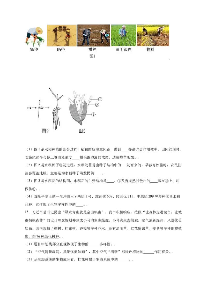 第六单元（第二章）认识生物的多样性（提分小卷）-（人教版）（原卷版）_初中全科电子版试卷练习试题_生物_生物8上练习_人教生物8年级上单元试卷48份