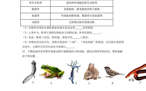 第六单元（第一章）根据生物的特征进行分类（提分小卷）-（人教版）（原卷版）_初中全科电子版试卷练习试题_生物_生物8上练习_人教生物8年级上单元试卷48份