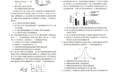 2025-2026学年高三二模考试生物_2024-2026高三（6-6月题库）_2026年04月高三试卷_260430山西省三重教育2025-2026学年高三4月二模考试（全科）