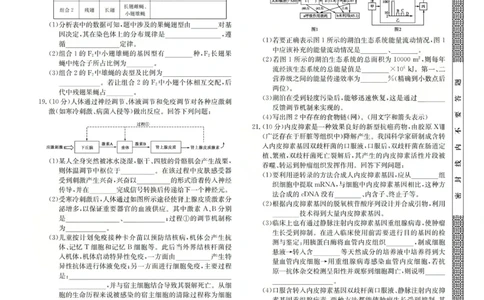 2025-2026学年高三二模考试生物_2024-2026高三（6-6月题库）_2026年04月高三试卷_260430山西省三重教育2025-2026学年高三4月二模考试（全科）