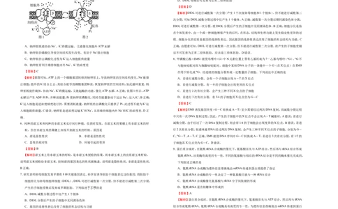 原创（新高考）2021届高考考前冲刺卷生物（五）教师版_新高考复习资料_2021年新高考资料_2021届高考考前冲刺卷（新高考）5.31更新