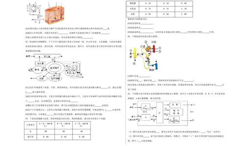 第五单元人体内废物的排出（选拔卷）-单元测试（人教版）（考试版）_初中全科电子版试卷练习试题_生物_生物人教版7下练习_人教生物7年级下单元试卷33份