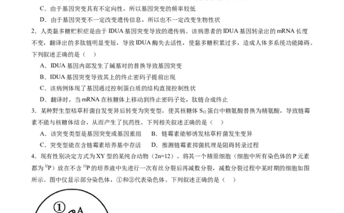 单元检测卷07变异与进化（原卷版）_2025年新高考资料_一轮复习_2025年高考生物一轮复习考点通关卷（新高考通用）