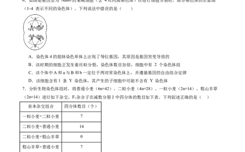 单元检测卷07变异与进化（原卷版）_2025年新高考资料_一轮复习_2025年高考生物一轮复习考点通关卷（新高考通用）