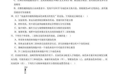 单元检测卷07变异与进化（原卷版）_2025年新高考资料_一轮复习_2025年高考生物一轮复习考点通关卷（新高考通用）