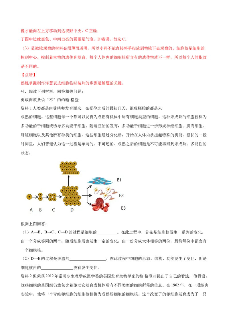 题型05（情景化试题）-（人教版）（解析版）_初中全科电子版试卷练习试题_生物_生物人教版7上练习&mdash;24新版已更新_人教生物7年级上专项练习28份