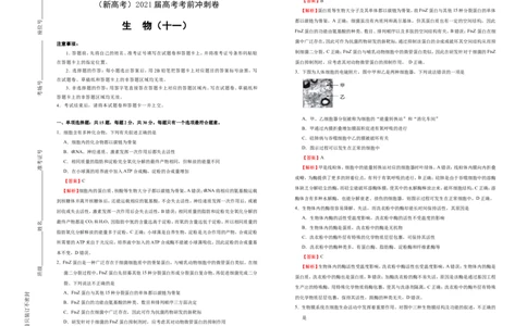 原创（新高考）2021届高考考前冲刺卷生物（十一）教师版_新高考复习资料_2021年新高考资料_2021届高考考前冲刺卷（新高考）5.31更新
