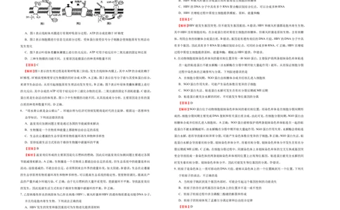 原创（新高考）2021届高考考前冲刺卷生物（十一）教师版_新高考复习资料_2021年新高考资料_2021届高考考前冲刺卷（新高考）5.31更新