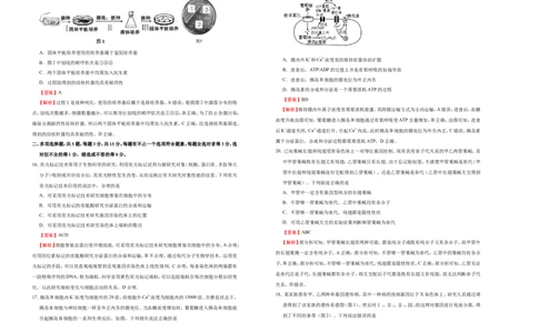 原创（新高考）2021届高考考前冲刺卷生物（十一）教师版_新高考复习资料_2021年新高考资料_2021届高考考前冲刺卷（新高考）5.31更新
