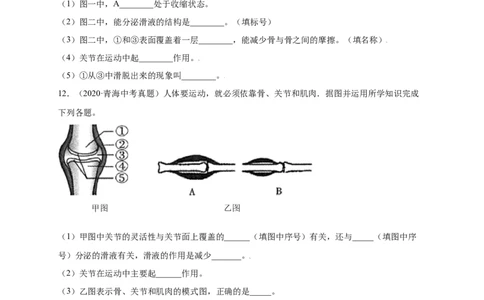 第五单元（第二章）动物的运动和行为（提分小卷）-（人教版）（原卷版）_初中全科电子版试卷练习试题_生物_生物8上练习_人教生物8年级上单元试卷48份