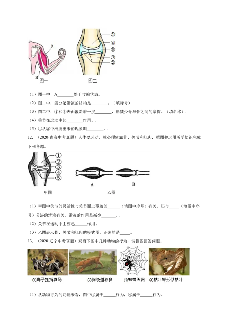 第五单元（第二章）动物的运动和行为（提分小卷）-（人教版）（原卷版）_初中全科电子版试卷练习试题_生物_生物8上练习_人教生物8年级上单元试卷48份
