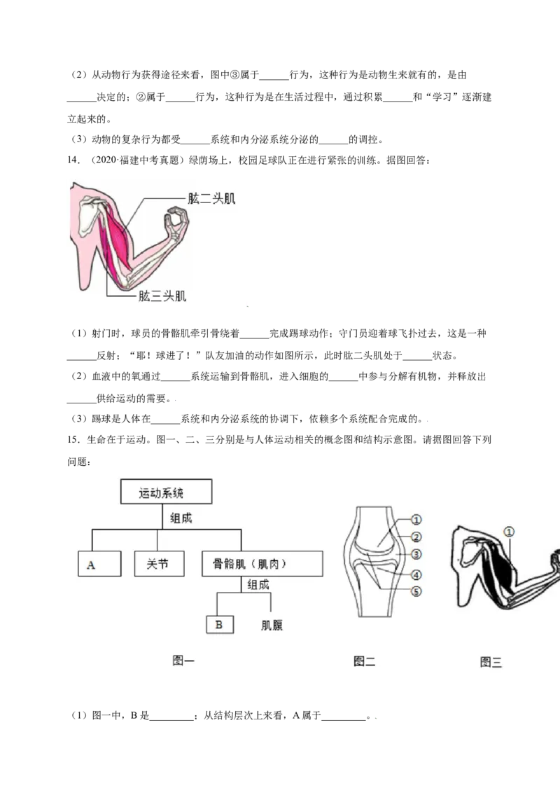 第五单元（第二章）动物的运动和行为（提分小卷）-（人教版）（原卷版）_初中全科电子版试卷练习试题_生物_生物8上练习_人教生物8年级上单元试卷48份