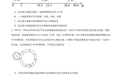 单元检测卷04细胞的生命历程（原卷版）_2025年新高考资料_一轮复习_2025年高考生物一轮复习考点通关卷（新高考通用）