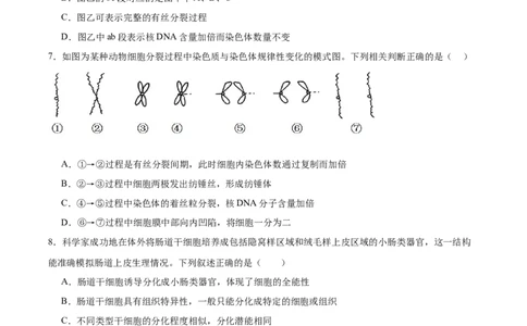 单元检测卷04细胞的生命历程（原卷版）_2025年新高考资料_一轮复习_2025年高考生物一轮复习考点通关卷（新高考通用）