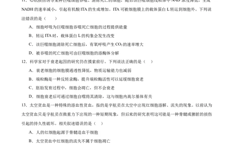 单元检测卷04细胞的生命历程（原卷版）_2025年新高考资料_一轮复习_2025年高考生物一轮复习考点通关卷（新高考通用）