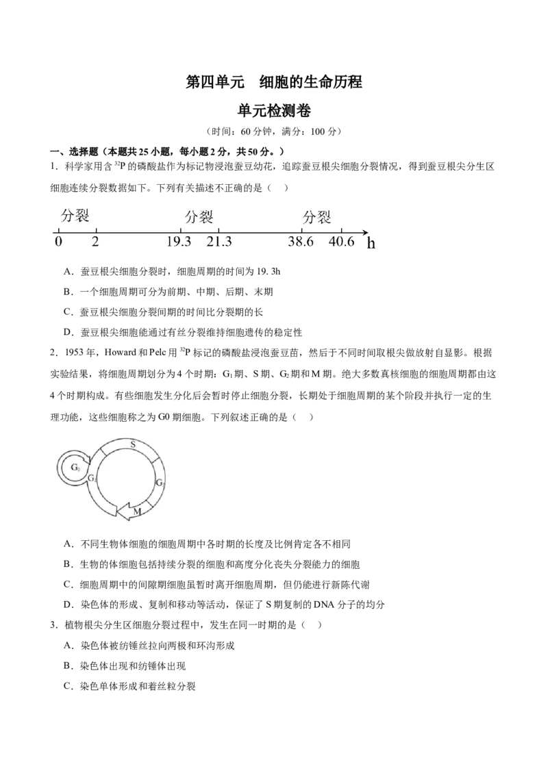 单元检测卷04细胞的生命历程（原卷版）_2025年新高考资料_一轮复习_2025年高考生物一轮复习考点通关卷（新高考通用）
