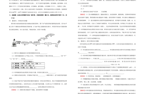 原创2020-2021学年下学期高三3月月考卷生物（B卷）教师版_通用版（老高考）复习资料_2023年复习资料_专项复习_2023《微专题&middot;小练习》&middot;生物_模拟题_2021月考试卷