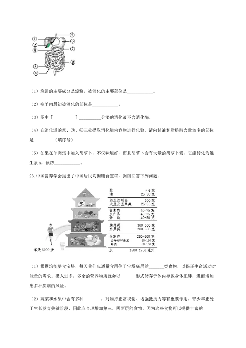 第二章人体的营养（基础过关）-（人教版）（原卷版）_初中全科电子版试卷练习试题_生物_生物人教版7下练习_人教生物7年级下单元试卷33份