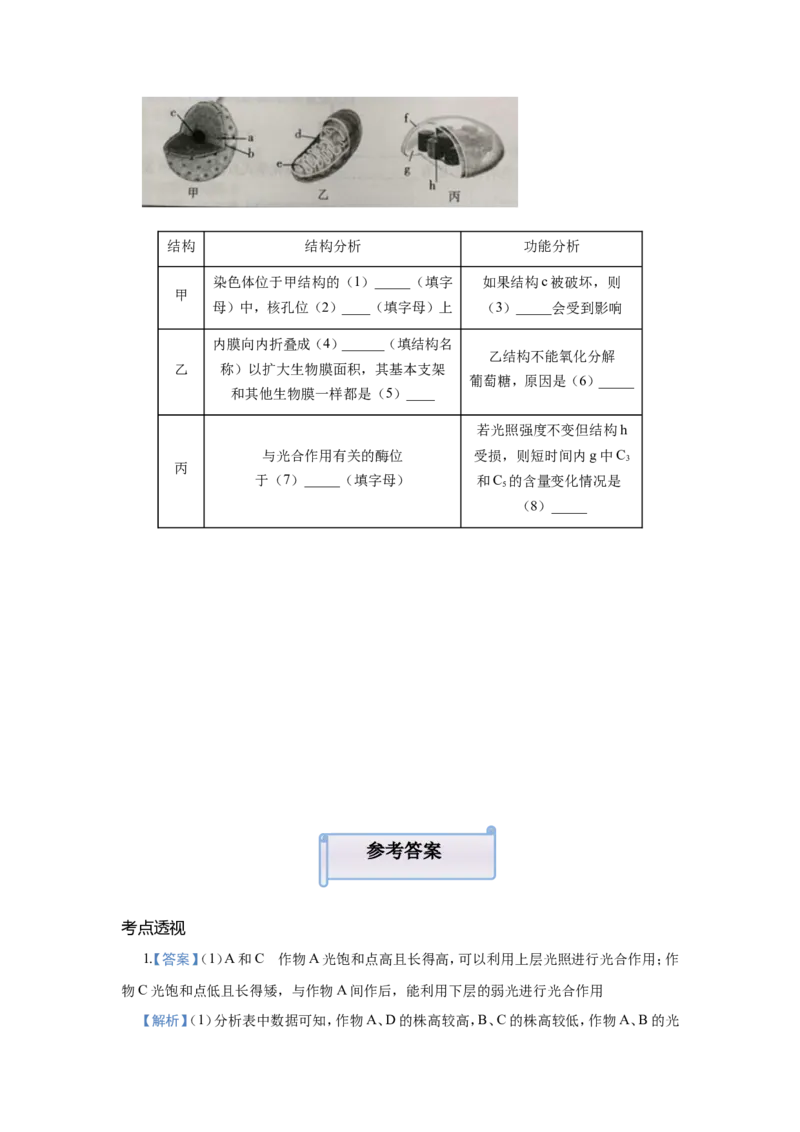 原创（新高考）2021届小题必练6光合作用、光合作用与细胞呼吸的关系学生版_新高考复习资料_2021年新高考资料_2021届（新高考）高考生物小题必练