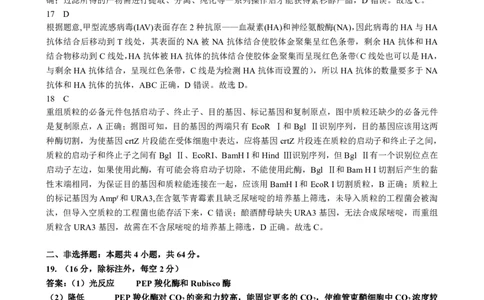 2026届湖北新八校4月检测-生物答案_2024-2026高三（6-6月题库）_2026年04月高三试卷_260415湖北新八校2026届高三4月联考（二模）（全科）