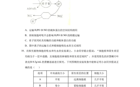 原创2021届小题必练3细胞的物质输入和输出学生版_通用版（老高考）复习资料_2023年复习资料_专项复习_2023《微专题&middot;小练习》&middot;生物_模拟题_2021届小题优练-生物