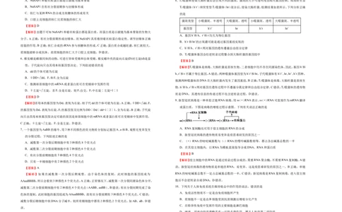 原创（新高考）2021届高考考前冲刺卷生物（六）教师版_新高考复习资料_2021年新高考资料_2021届高考考前冲刺卷（新高考）5.31更新