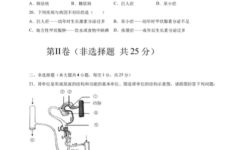 第五、六章人体内废物的排出和对生命活动的调节（基础过关）-（人教版）（原卷版）_初中全科电子版试卷练习试题_生物_生物人教版7下练习_人教生物7年级下单元试卷33份