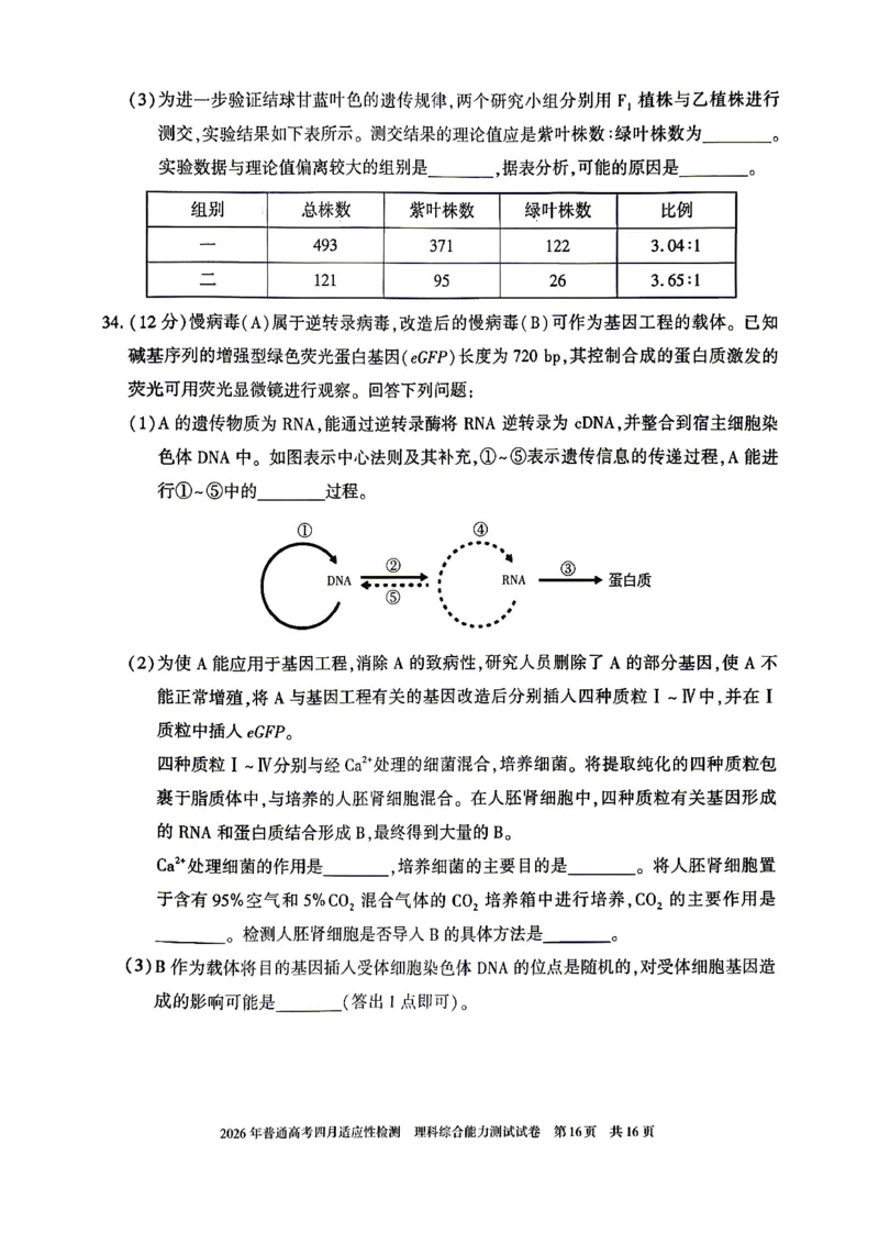 2026年普通高考四月适应性检测理综_2024-2026高三（6-6月题库）_2026年04月高三试卷_260410新疆2026届高三下学期四月适应性检测（全科）