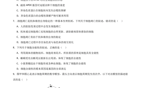 单元检测卷04细胞的生命历程（原卷版）_新高考复习资料_2024年新高考复习资料_一轮复习资料_完2024年高考生物一轮复习考点通关卷（新高考）_单元检测卷04细胞的生命历程
