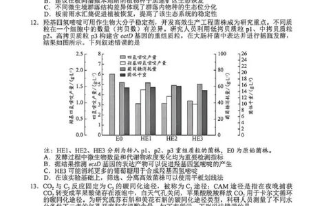 2026年广州二模-生物试题_2024-2026高三（6-6月题库）_2026年04月高三试卷_260424广东省广州市2026年广州市普通高中毕业班综合测试（二）(全科)广州二模